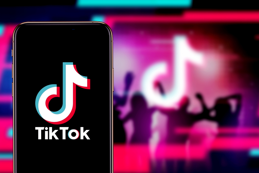 TikTok Video Downloader